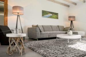 salon spacieux villa dordogne