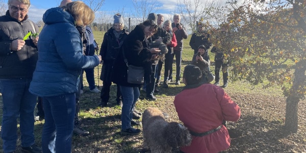 Ferme de Cor Truffes Dordogne